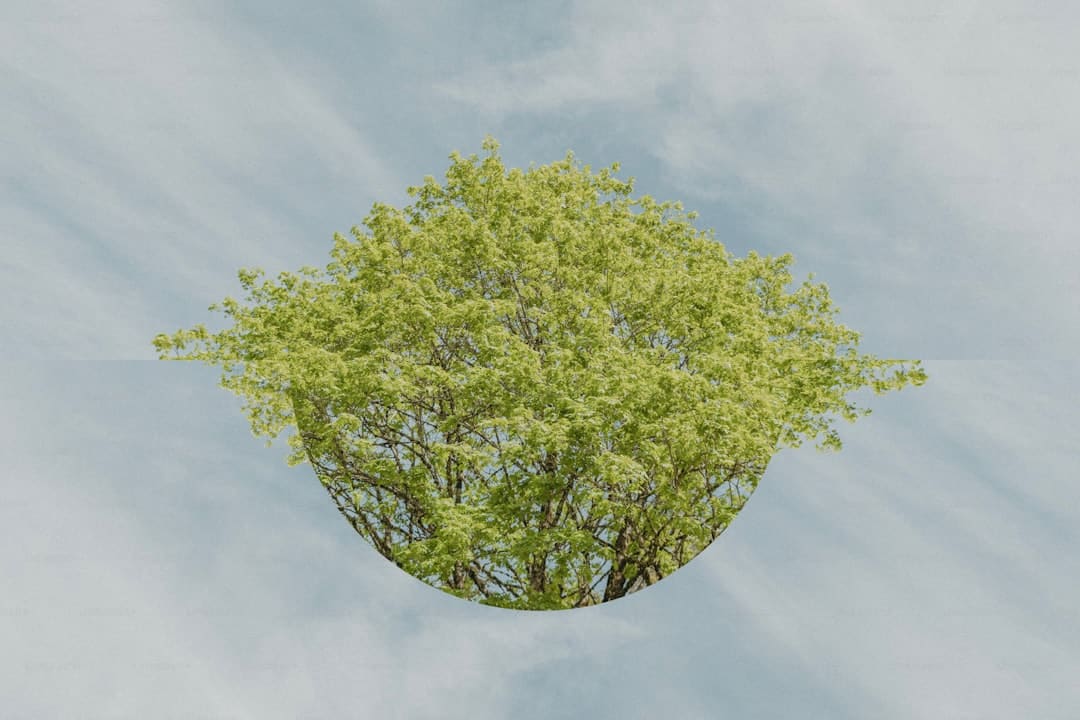 http://upload.mnw.cn/2025/0116/1736996008407.jpg